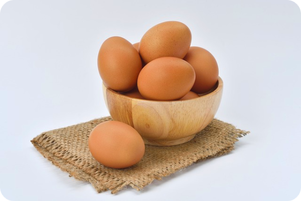 강아지 계란 먹어도 될까요? 노른자와 흰자 모두?