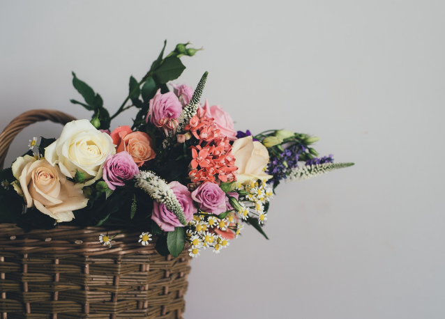 구독 서비스 모델을 통한 지속 성장 사례