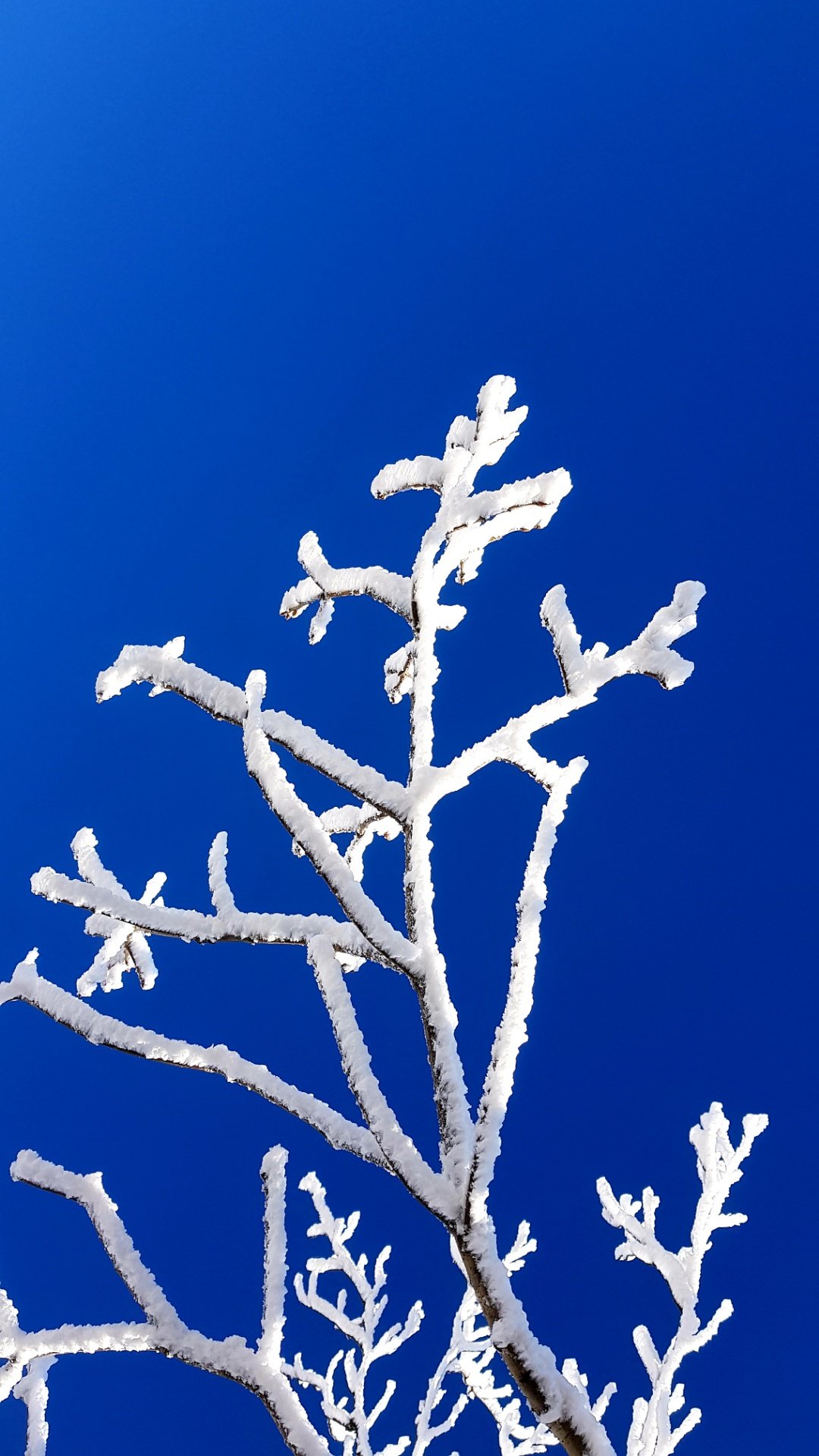 울산 가지산05 설경과 상고대