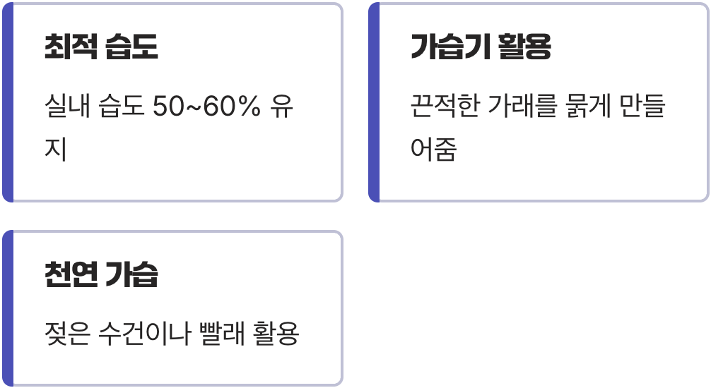 최고의 약, '촉촉한 공기'