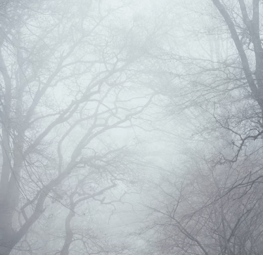 피부 탄력 관리 방법 - 미스트