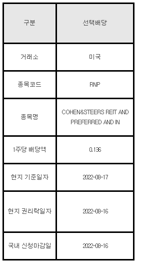 미국주식 선택배당 RNP