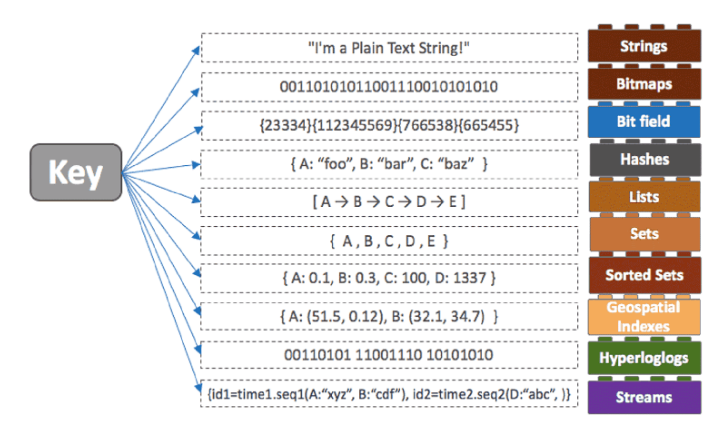 레디스의 다양한 데이터 구조