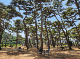 출처: 소울로스터리