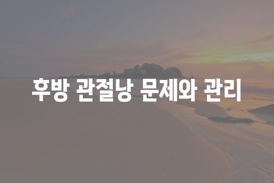 샘플 (77)