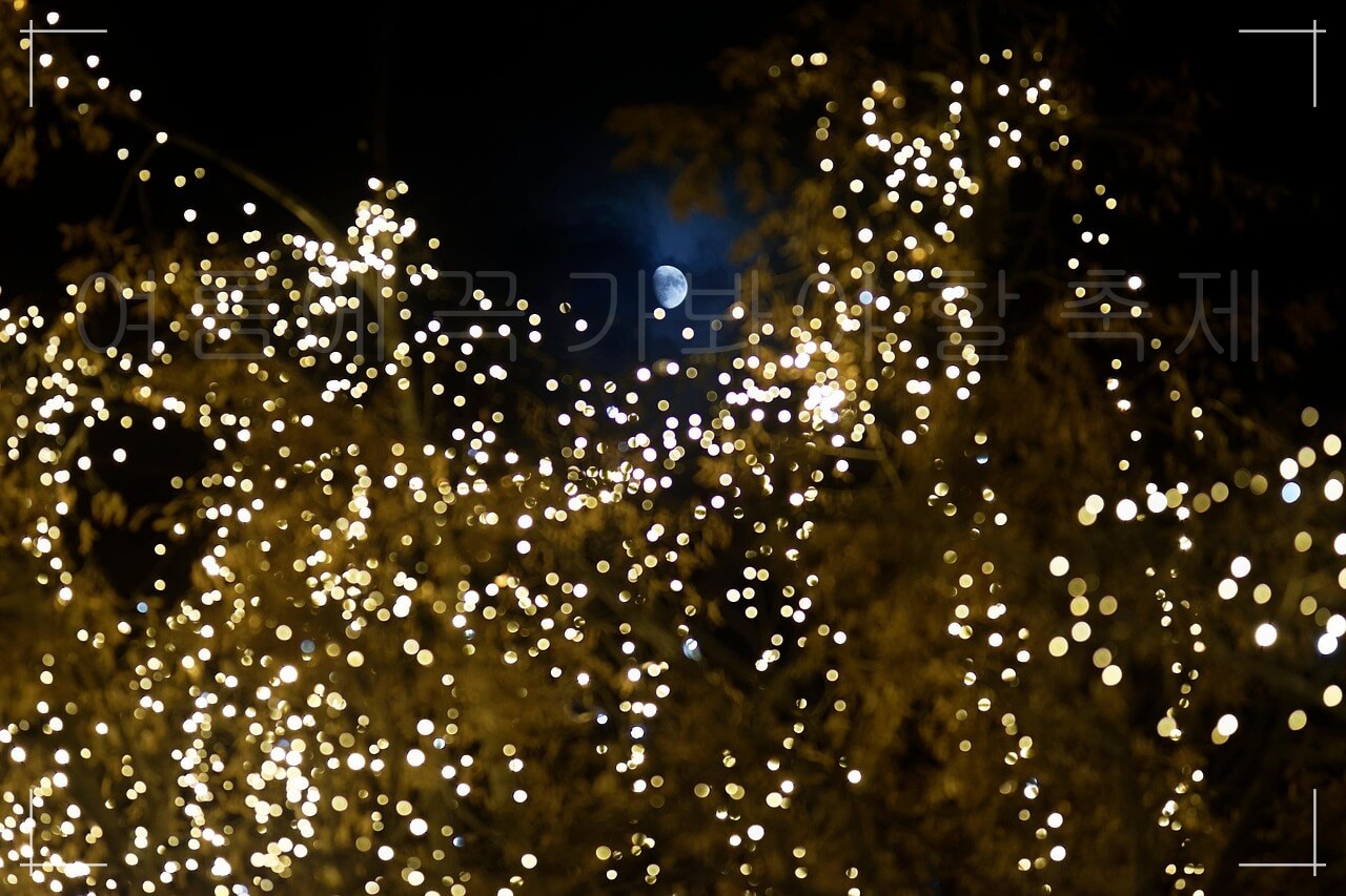 인기 축제 BEST 7, 올해 가장 기대되는 축제, 여름에 꼭 가봐야 할 인기있는 축제