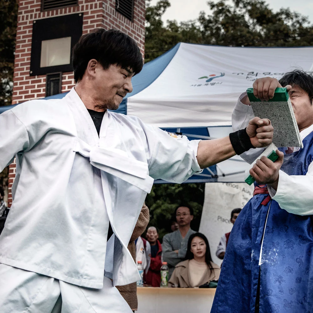 상대를 제압하는 택견의 손질