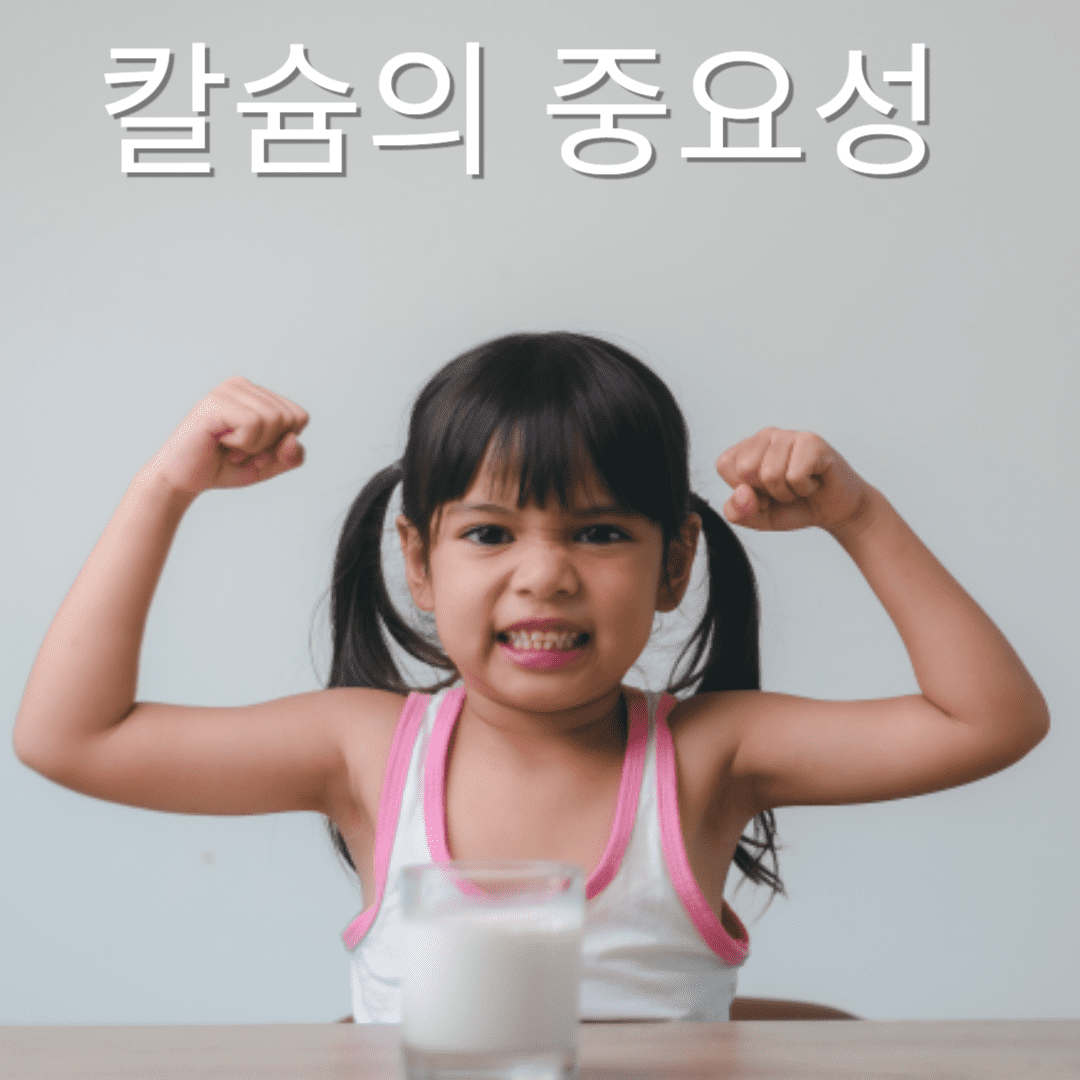 칼슘이 많은 음식