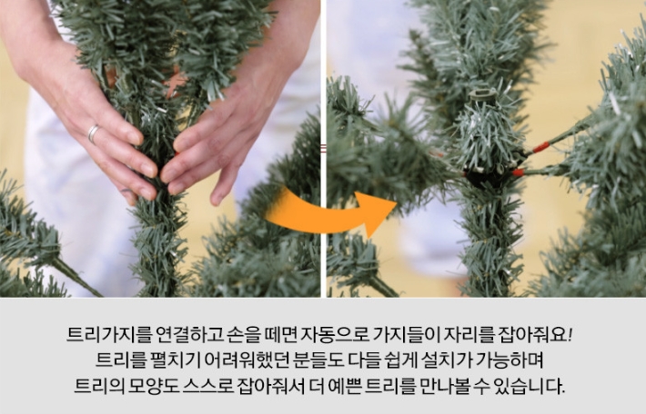 크리스마스 트리