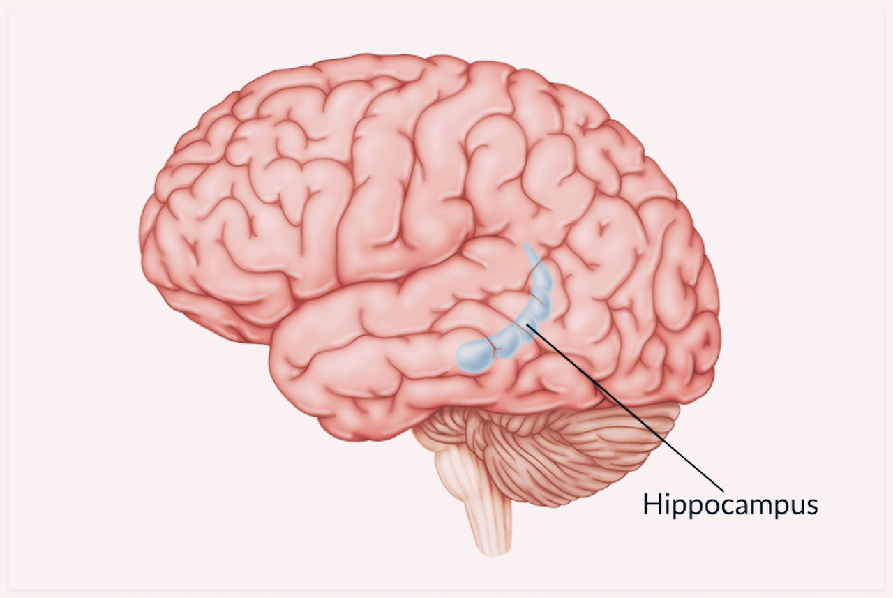 계열 위치 효과5