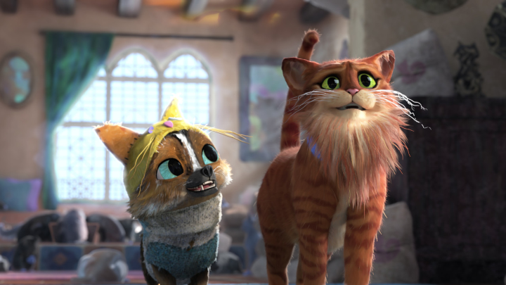 강아지와고양이