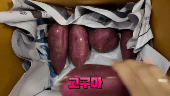 고구마 신문지 보관