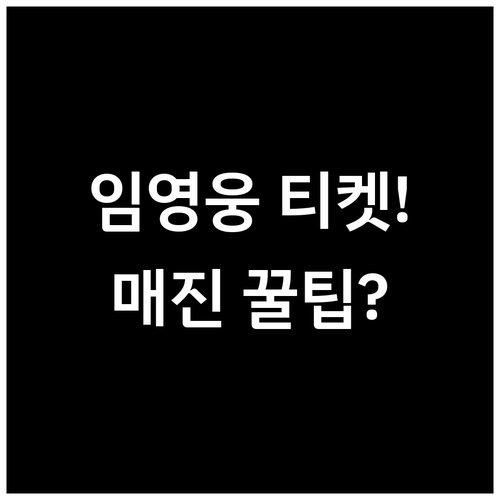 임영웅 콘서트 2025-2026, 전..