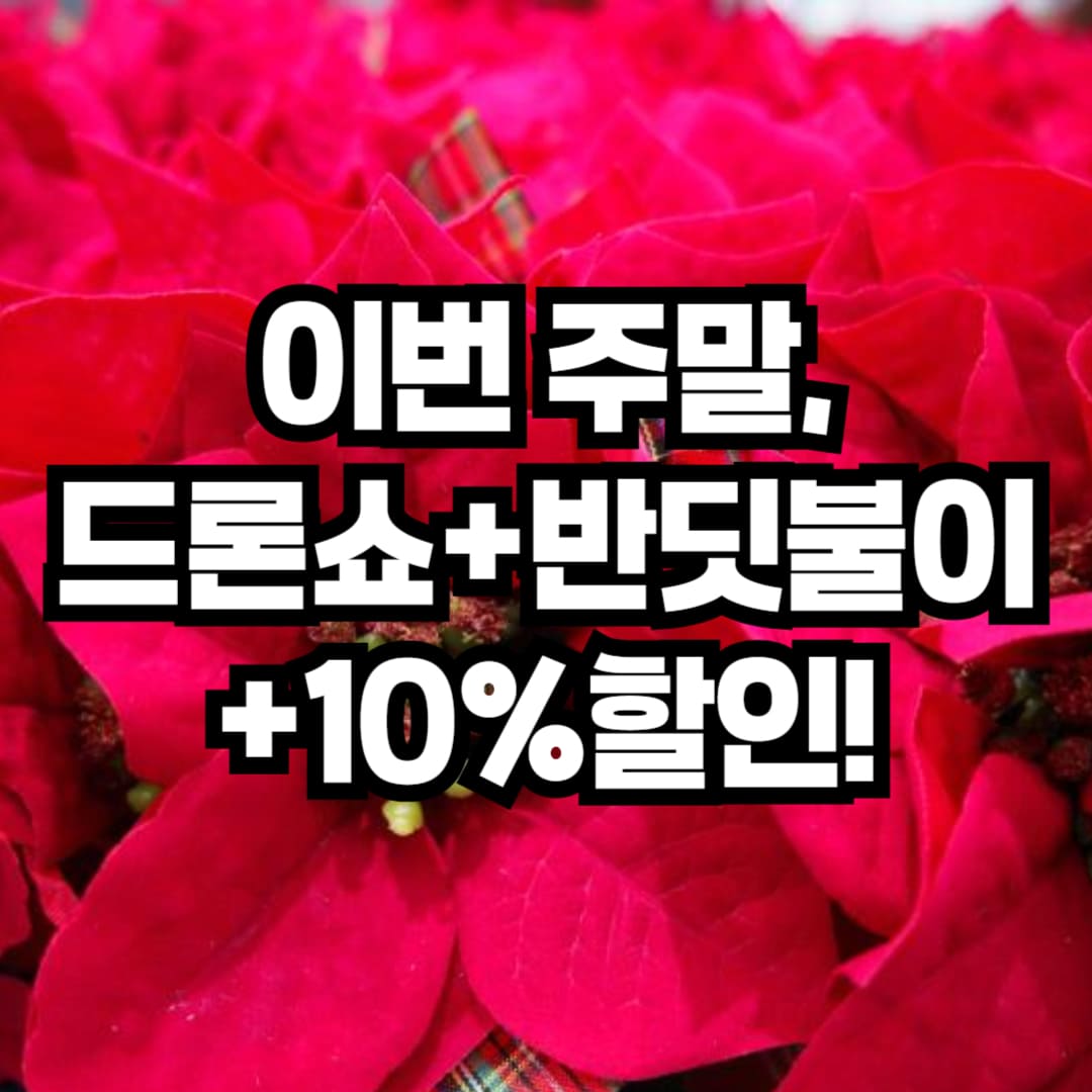 괴산 빨간맛 페스티벌 일정 및 즐길거리 총정리