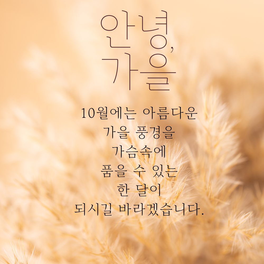10월 가을 인사말 문구 이미지 모음 카톡 문자 안부 메세지