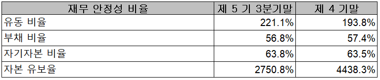 이녹스첨단소재 재무 안정성 비율 (2021년 3분기)