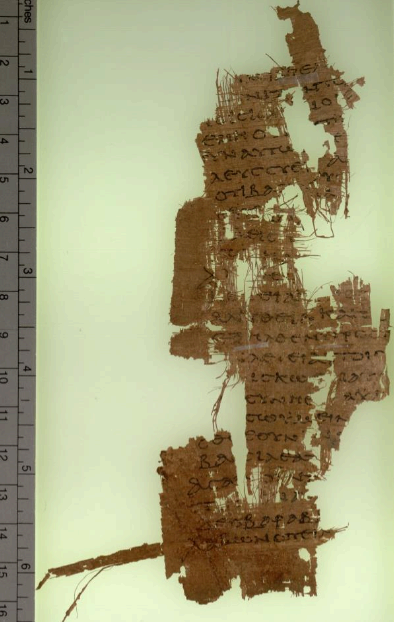 신약 사본학과 이단 논쟁 (예: 영지주의 복음서)