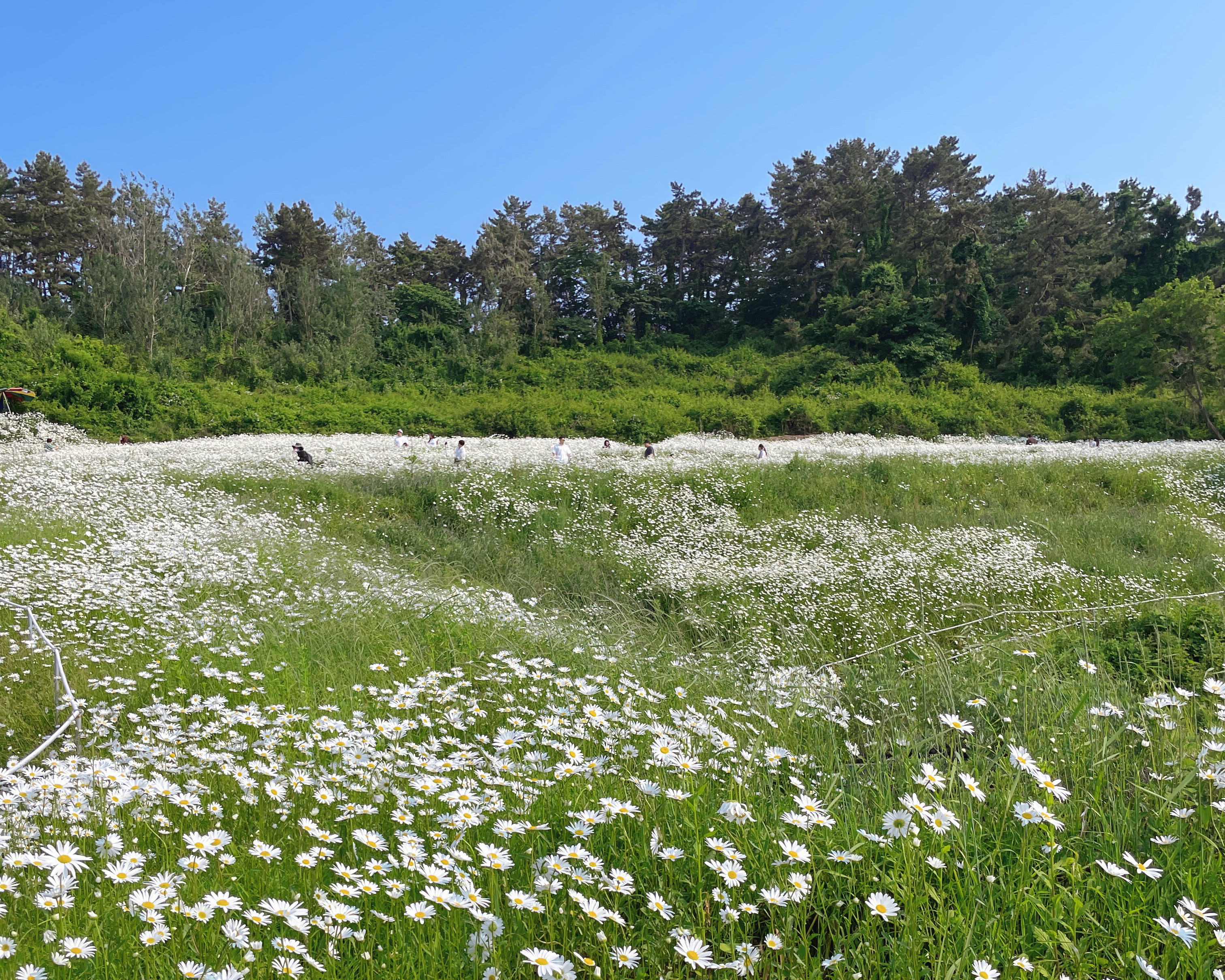 부안변산마실길2코스