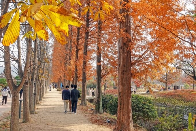 경상도 단풍 명소 TOP 7 : 2025 가을 절정 시기 &amp; 여행 코스 총정리