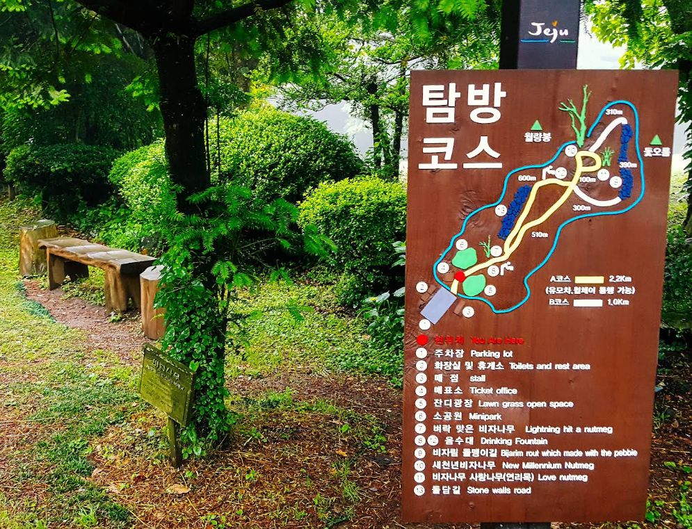 비자림