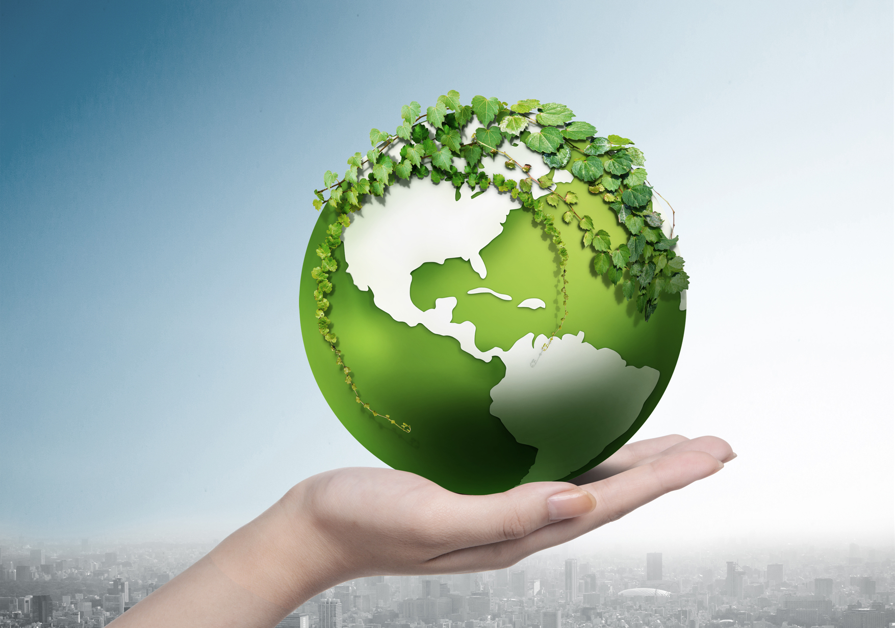 탄소배출권 관련 이미지