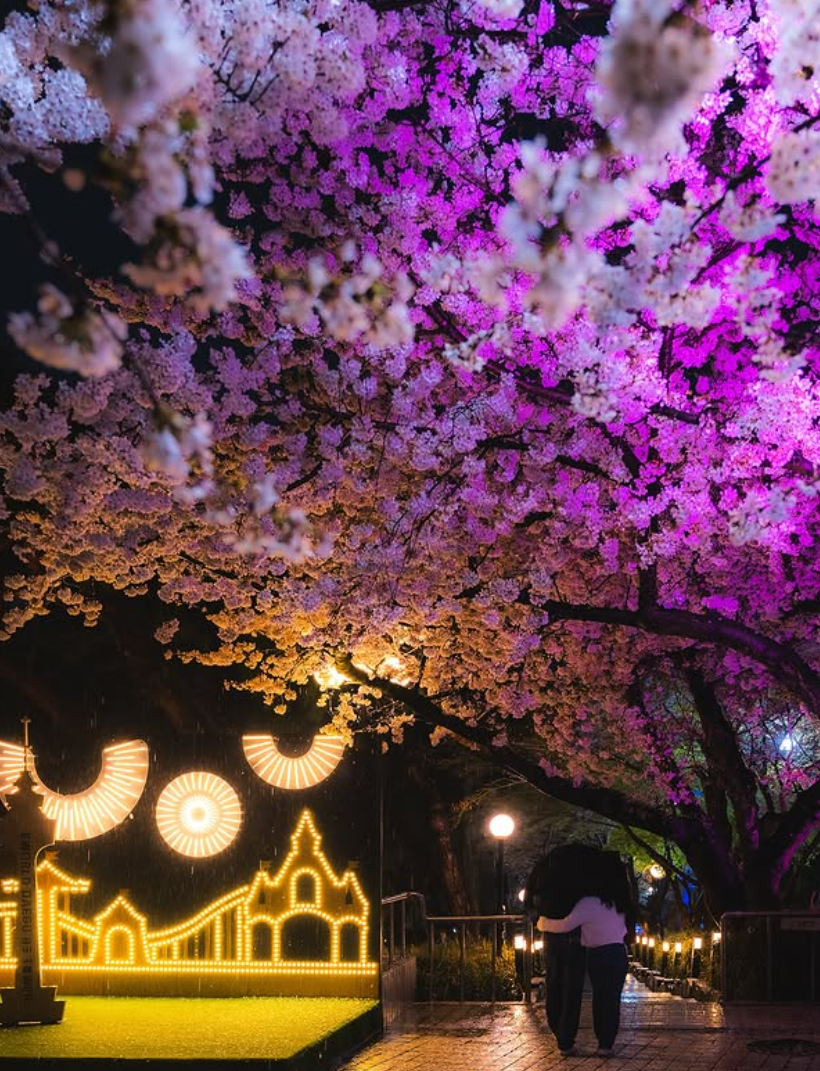 대구 이월드 자유이용권 할인