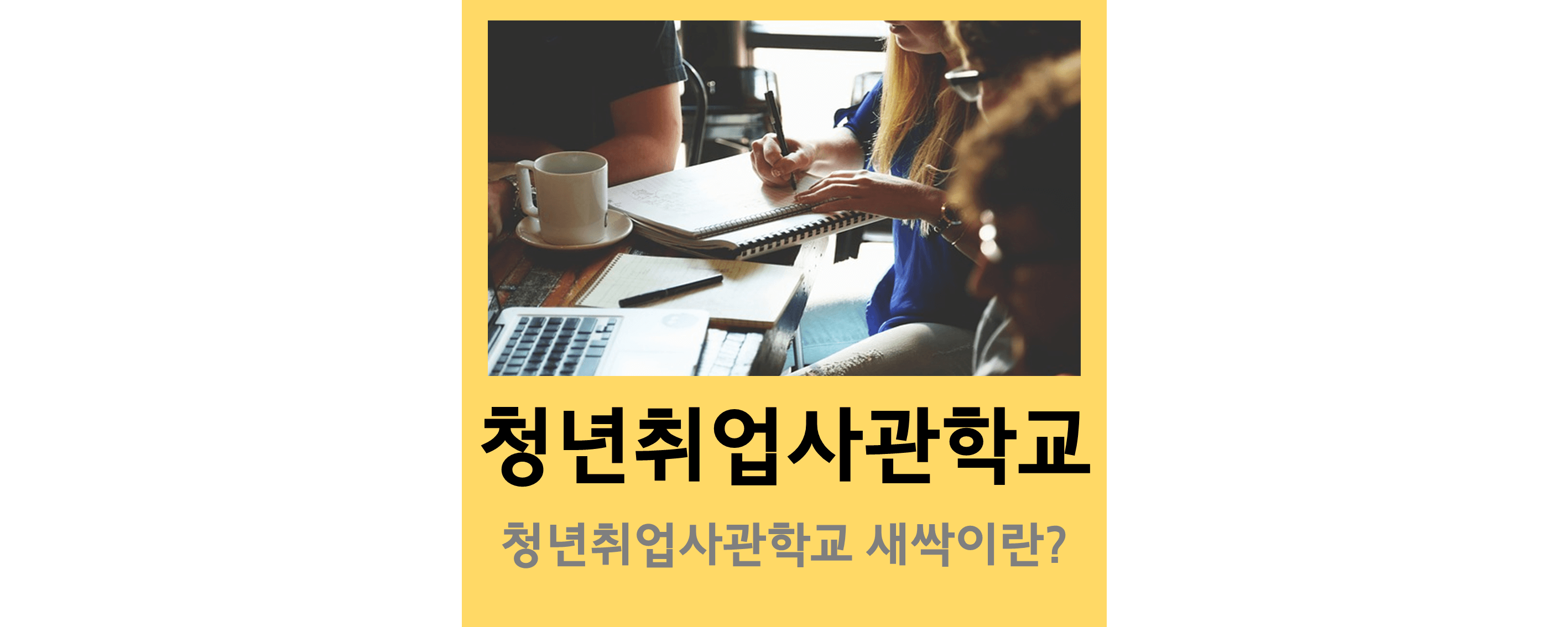청년취업사관학교