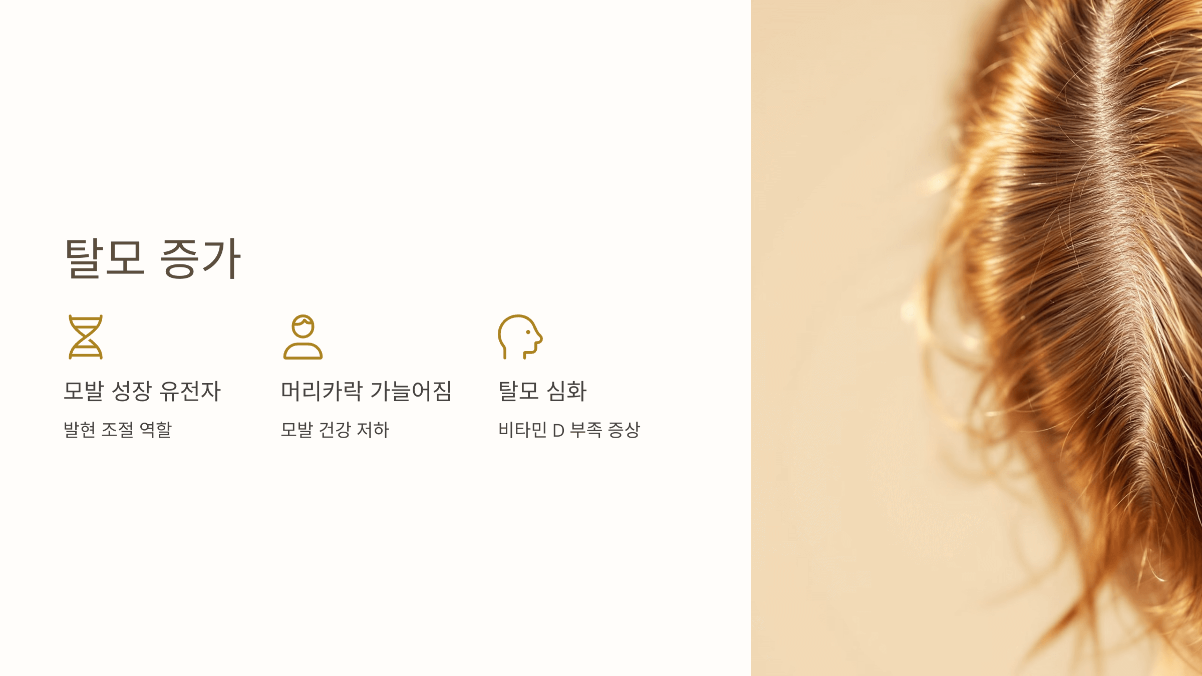 비타민D와 관련된 사진입니다.