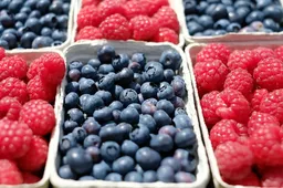 중복 2025 삼계탕 효능