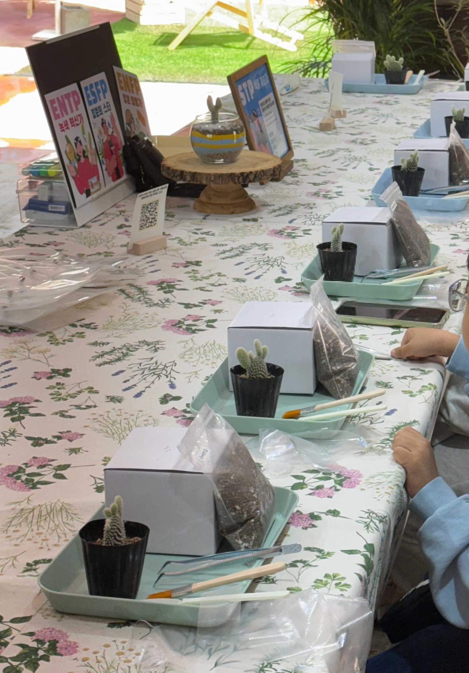 안양 만안구 테라리움 만들기