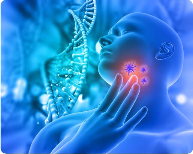 갑상선암 원인과 위치를 설명