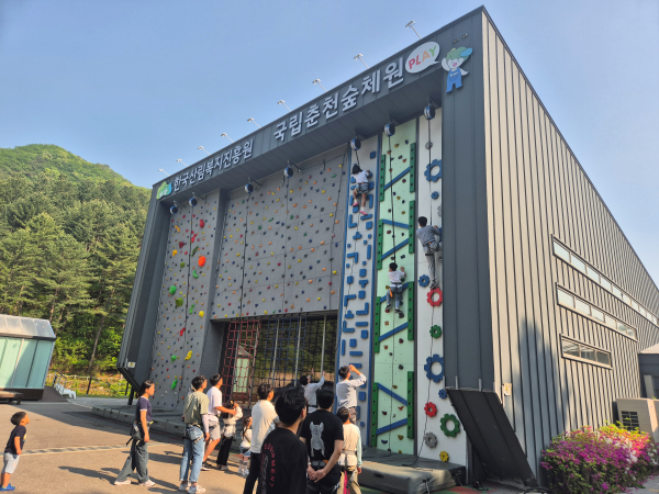 국립춘천숲체원 실내 암벽장에서 여러 사람들이 클라이밍을 즐기는 모습