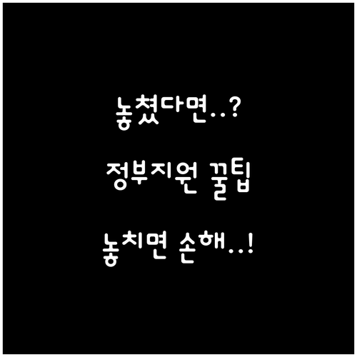 소비쿠폰 놓쳤다면? 현재 정부 지원 ..