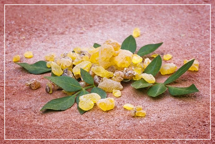 보스웰리아-효능