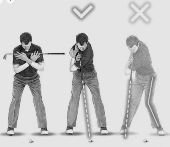 골프 백스윙 중심