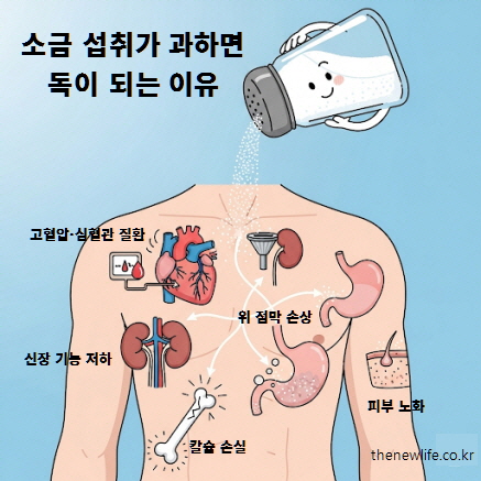 소금을 많이 먹으면 발생하는 대표적인 소금 부작용으로 고혈압&middot;심혈관 질환, 신장 기능 저하, 위 점막 손상, 칼슘 손실, 피부 노화를 한눈에 보여주는 이미지