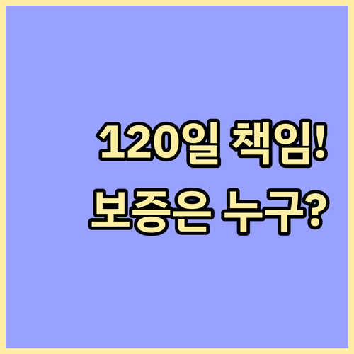 중고차 성능점검 기록 법적 보증 12..