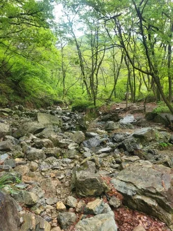 관악산 등산코스 계곡 학바위능선 연주대 사당능선 총정리_2
