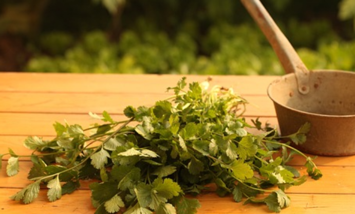 고대 페르시아의 사프란을 활용한 정신 질환 치료법