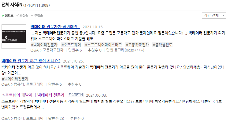 빅데이터 전문가 전망