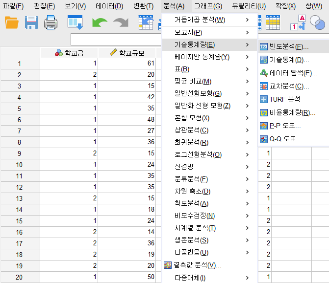 분석 > 기술통계량 > 빈도분석