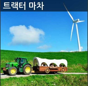 평창 가볼만한 곳 대관령 하늘목장