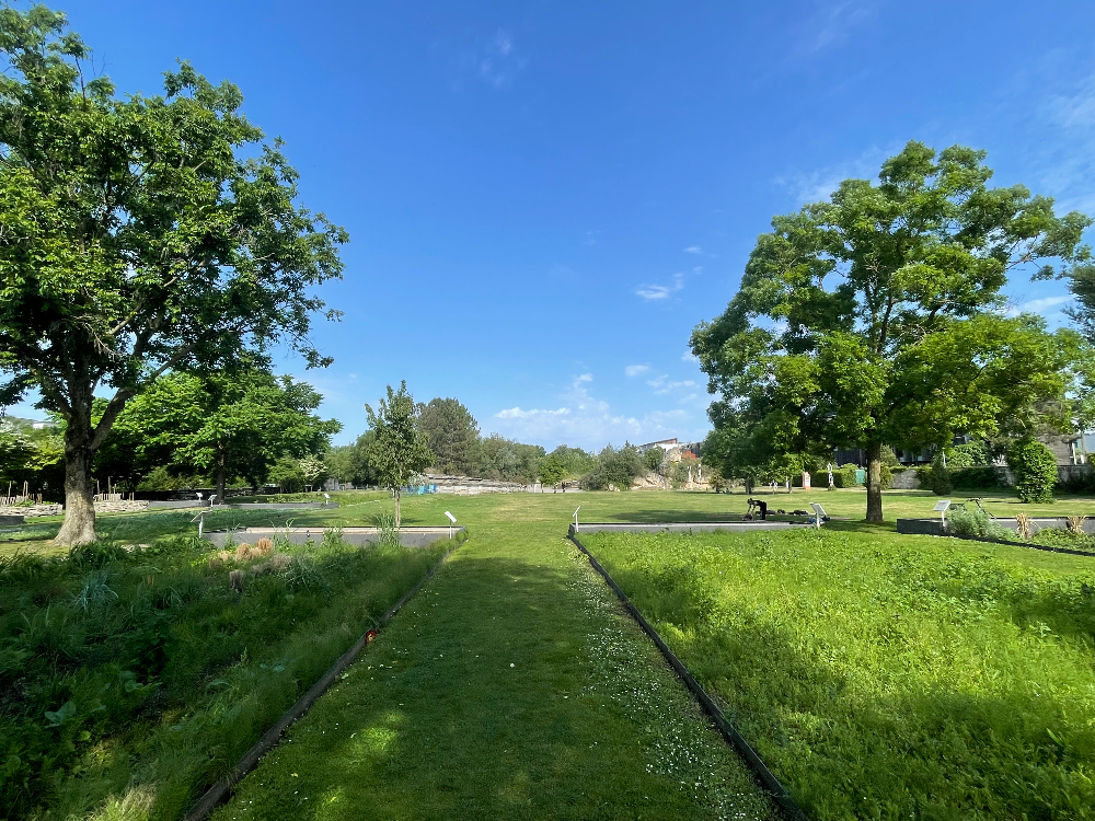 보르도 식물원 - 3. Pelouse (잔디밭)2