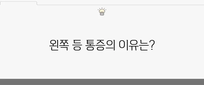 왼쪽 등 통증의 원인 10가지와 효과적인 치료법입니다.