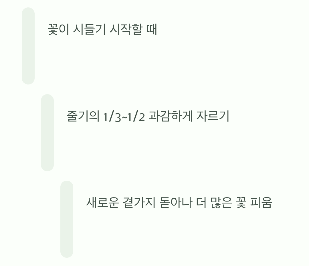 꽃을 두 배로 보는 마법, '가지치기'