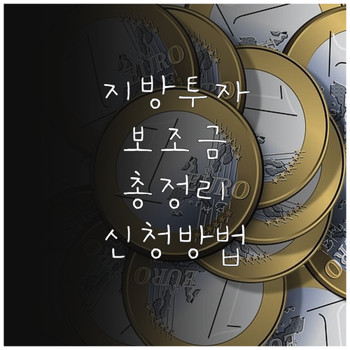 2025 지방투자: 보조금 종류별 지..