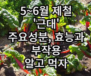 근대