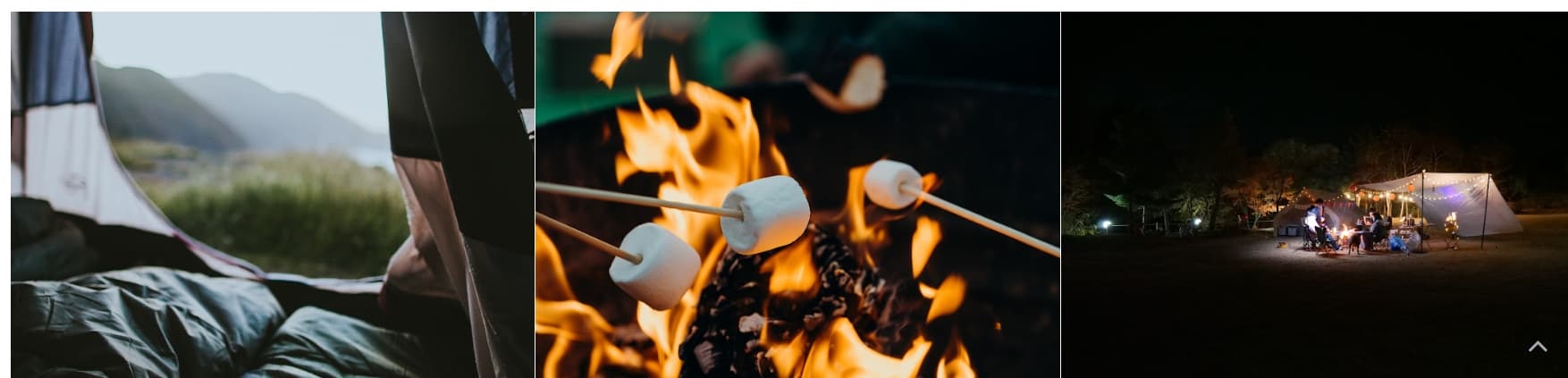 [반려견 동반, 가족 여행지]평강랜드❘아이들과 함께하는 반려견 놀이터, 캠핑장