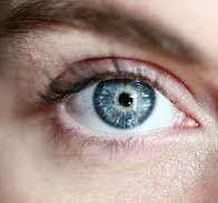 눈꺼풀 떨림 현상