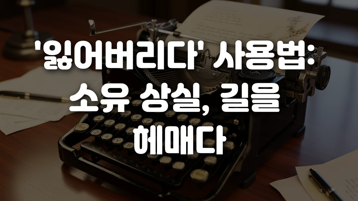 잃어버리다 사용법 소유 상실 길을 헤매다